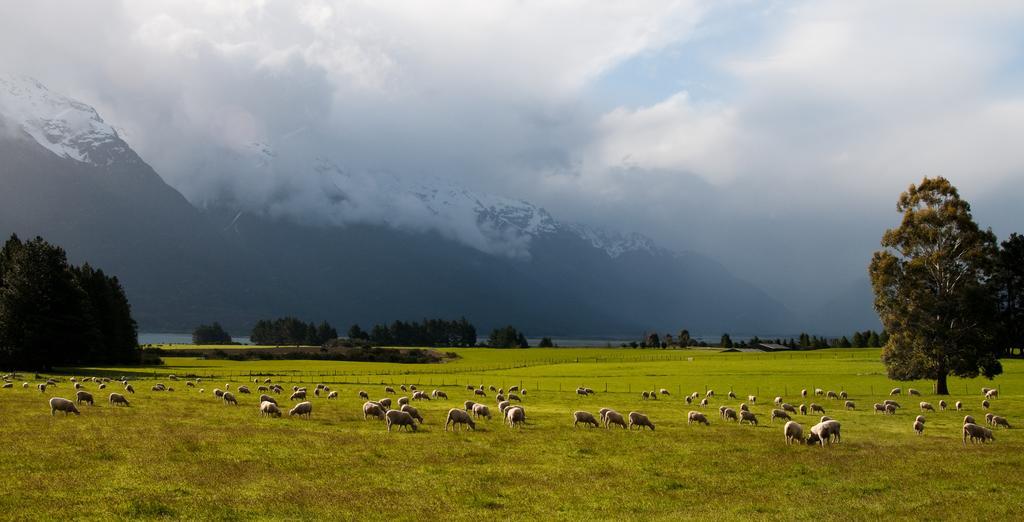 Glenorchy Peaks Bed And Breakfast Kültér fotó