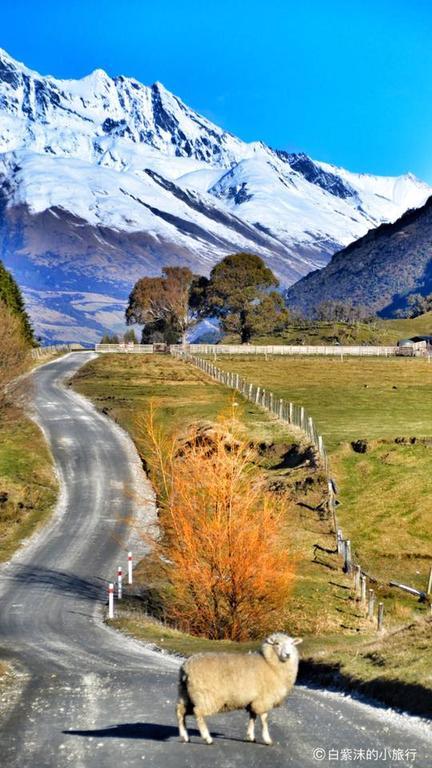 Glenorchy Peaks Bed And Breakfast Kültér fotó
